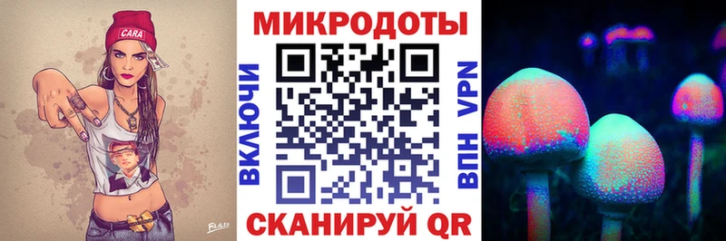 Псилоцибиновые грибы Psilocybine cubensis Заозёрск