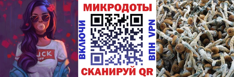 Галлюциногенные грибы Magic Shrooms  Заозёрск 